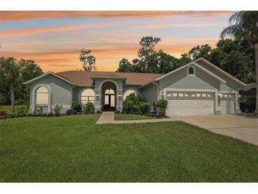 Beautiful single-story home featuring a well-manicured lawn and a three-car garage with a light gray exterior at 10113 Bell Creek Dr, Riverview, FL 33569