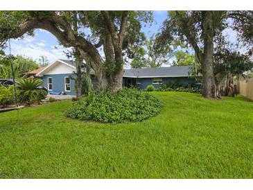 Charming single-story home with a blue facade and lush green lawn and mature shade trees at 1609 Haven Bnd, Tampa, FL 33613