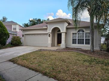 Charming home featuring an arched entryway, two car garage and lush palm tree at 18423 Meadow Blossom Ln, Tampa, FL 33647