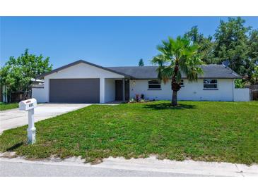 Well maintained single story home with a green lawn, a mailbox, and a two car garage at 621 Gran Kaymen Way, Apollo Beach, FL 33572