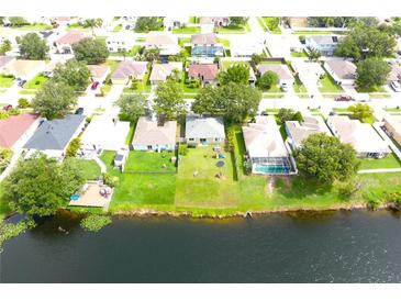 An aerial view of a community with lakefront property shows lush lawns, mature trees and in-ground swimming pools at 1423 Birchstone Ave, Brandon, FL 33511