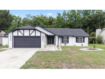 Charming home featuring black trim, a gray garage door, and a well-manicured front lawn at 15012 Winterwind Dr, Tampa, FL 33624