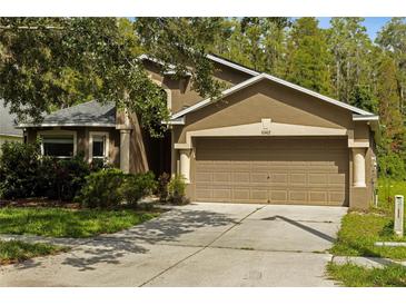 Charming home featuring a two-car garage, neutral-tone stucco, and well-maintained landscaping at 10462 Lucaya Dr, Tampa, FL 33647