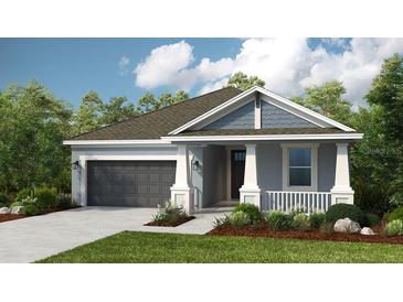 Charming single-story home showcasing a well-manicured lawn and attached two-car garage at 720 Sky Shade Dr, Apollo Beach, FL 33572
