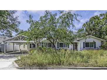 Charming single story home featuring a carport, mature landscaping, and a welcoming facade at 4206 W Palmira Ave, Tampa, FL 33629
