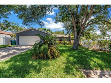 Charming single-story home with a well-manicured lawn and mature trees providing ample shade at 11301 80Th Ave, Seminole, FL 33772