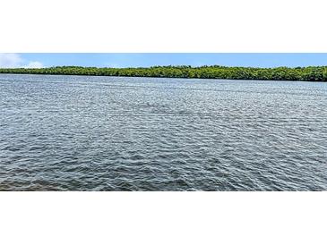 Wide view of calm waters with treeline in the distance under a bright, sunny sky at 809 Bahia Del Sol Dr # 72, Ruskin, FL 33570