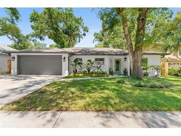 Charming single-story home featuring a well-manicured lawn and a two-car garage at 1313 W Carissa Ct, Tampa, FL 33604