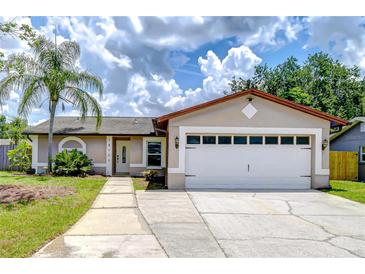 Charming single-story home with a well-manicured lawn, two car garage, and inviting front entrance at 14105 Farmington Blvd, Tampa, FL 33625