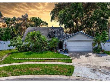 Charming single-story home featuring a well-manicured lawn, mature trees, and a two-car garage at 7111 Lawnview Ct, Tampa, FL 33615