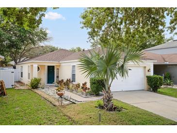 Charming single-story home featuring a welcoming entrance, well-manicured lawn and mature landscaping at 8526 Quarter Horse Dr, Riverview, FL 33578
