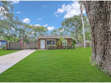 Charming home with a well-maintained lawn, a concrete driveway, and a traditional American flag at 3106 E Diana St, Tampa, FL 33610