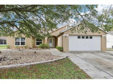 Charming single-story home featuring a well-manicured lawn and a two-car garage at 10304 Rainbow Oaks Dr, Hudson, FL 34667