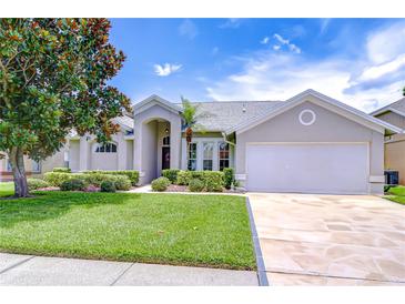 Beautiful single-Gathering home with a well-manicured lawn, lush shrubbery, and attached two car garage at 13602 Fawn Ridge Blvd, Tampa, FL 33626
