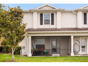 View of a covered patio with a hanging chair and outdoor furniture, perfect for relaxing outside at 4743 Somerset Hill Ln, Riverview, FL 33578