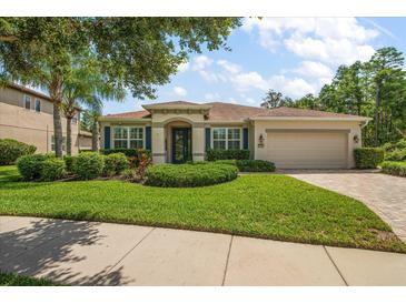 Charming single-story home featuring a lush lawn, manicured landscaping, and a welcoming two-car garage at 19409 Wingrove Ln, Lutz, FL 33558