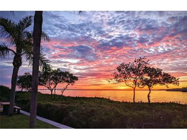 Breathtaking sunset view over the bay, featuring lush vegetation and palm trees, creating a serene landscape at 2739 Via Capri # 1039, Clearwater, FL 33764