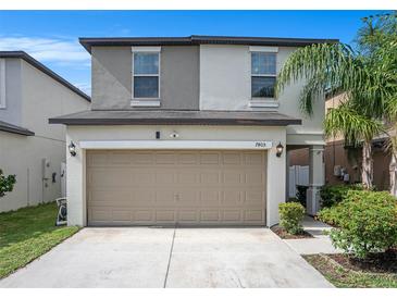 Inviting two-story home with a tan garage door, well-maintained landscaping, and a charming palm tree at 7405 French Marigold Ave, Tampa, FL 33619