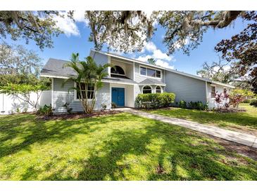 Charming two-story home with blue double-door entrance, mature landscaping and healthy green grass at 11203 Egret Nest Ct, Riverview, FL 33569