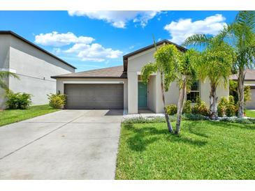 Charming single-Gathering home with a well-maintained lawn and landscaping at 12838 Wildflower Meadow Dr, Riverview, FL 33579