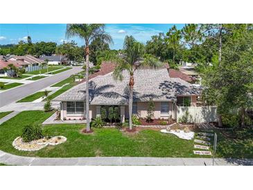 Charming single-story home with a well-manicured lawn and mature palm trees in a quiet neighborhood at 6001 Lemon Tree Ct, Tampa, FL 33625