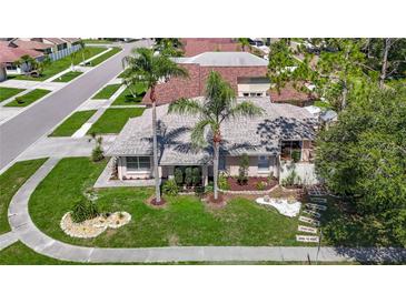 Charming single-story home featuring lush landscaping, two tall palms, a stone walkway, and a well-maintained lawn at 6001 Lemon Tree Ct, Tampa, FL 33625