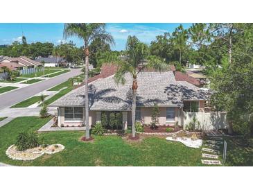 Charming single-story home featuring a well-manicured lawn and lush landscaping including palm trees at 6001 Lemon Tree Ct, Tampa, FL 33625