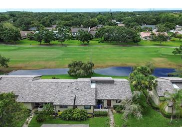 Scenic aerial view of community homes overlooking lush golf course and serene pond at 140 Dale Pl, Oldsmar, FL 34677