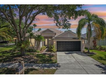 Charming single-story home featuring a well-manicured lawn, mature trees, and a two-car garage at 19113 Golden Cacoon Pl, Lutz, FL 33558