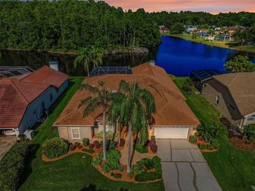 Aerial view of a beautiful house showcasing a tile roof, well-manicured landscaping and large trees at 2691 Saddlewood Ln, Palm Harbor, FL 34685