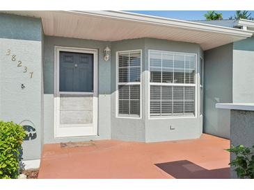 Charming front entrance with a gray door, complemented by a bay window providing natural light at 38237 Eucalyptus Dr, Zephyrhills, FL 33542