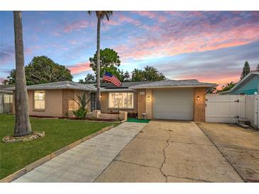 Charming single-story home with a well-maintained lawn, two palm trees, and an American flag displayed out front at 7631 Ironbark Dr, Port Richey, FL 34668