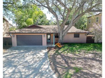 Charming home with a mature tree in the front yard and a spacious driveway leading to an attached garage at 10729 Drummond Rd, Tampa, FL 33615