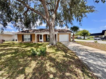 Charming single-story home featuring a well-manicured lawn and a large shade tree at 3902 Glissade Dr, New Port Richey, FL 34652