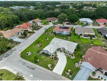 This aerial view captures a neighborhood with well-maintained lawns, mature trees, and diverse architectural styles at 602 Deep Lake Ln, Sun City Center, FL 33573