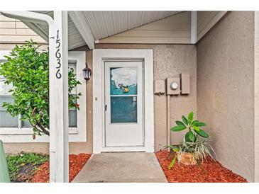 Inviting front entrance with a storm door, complemented by lush landscaping and a pop of color from the potted plant at 15636 Morning Dr, Lutz, FL 33559