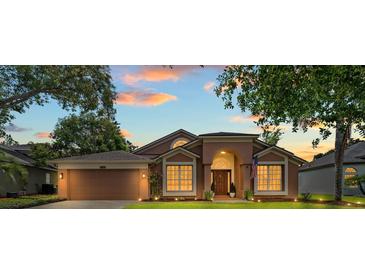 Charming single Gathering home with manicured lawn, arched entry, and warm exterior lighting at 9206 Brindlewood Dr, Odessa, FL 33556