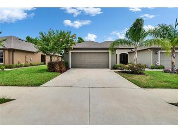 Charming single Gathering home showcasing a well-manicured lawn, palm trees, and a neutral-toned exterior at 14047 Weddington Ter, Hudson, FL 34669