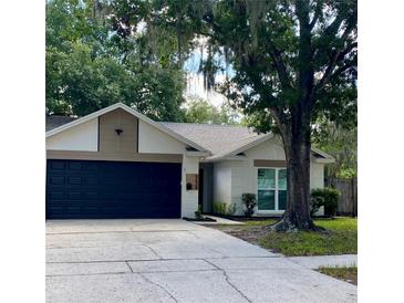 Charming single-story home featuring a dark garage door, beige stucco, and mature shade tree at 4639 Cabbage Palm Dr, Valrico, FL 33596
