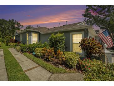 Charming home with a well-manicured lawn and colorful landscaping, showcasing its inviting curb appeal at 6041 Sandhill Ridge Dr, Lithia, FL 33547