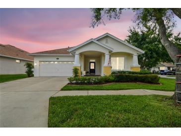 Charming single-story home with a well-manicured lawn and inviting covered porch at 18203 Tivoli Ln, Lutz, FL 33558