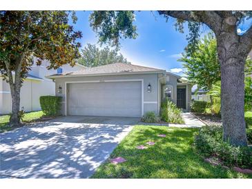 Charming single-story home with a well-maintained lawn, a two-car garage, and inviting curb appeal at 19555 Timberbluff Dr, Land O Lakes, FL 34638