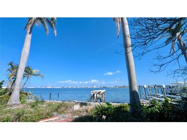 Expansive waterfront view showcases clear blue water, city skyline, and palm trees, creating a tranquil vista at 720 Boca Ciega Isle Dr, St Pete Beach, FL 33706