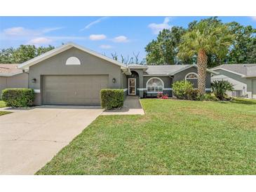 Charming single Gathering home showcasing a well-manicured lawn and gray exterior paint at 10032 Basin St, New Port Richey, FL 34655