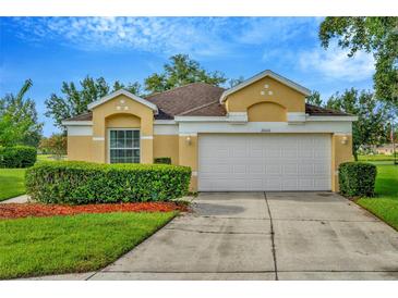 Charming single-story home with a well-maintained lawn, lush landscaping, and a two-car garage at 26616 Whirlaway Ter, Wesley Chapel, FL 33544