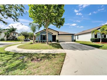 Charming single-story home with well-manicured lawn and a two-car garage at 10119 Rose Petal Pl, Riverview, FL 33578