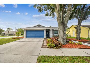 Charming single-story home with a blue garage door and well-maintained landscaping at 4108 Woodtrail Blvd, New Port Richey, FL 34653