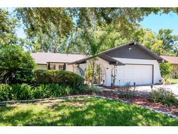 Charming home with a well-manicured lawn, a two car garage, and wrought iron gated courtyard at 23924 Forest Pl, Land O Lakes, FL 34639