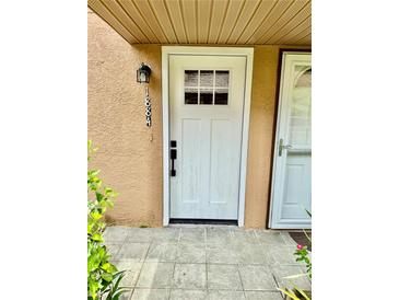 Inviting front entrance with a white door and classic black hardware, creating a welcoming first impression at 1884 Clearbrooke Dr, Clearwater, FL 33760