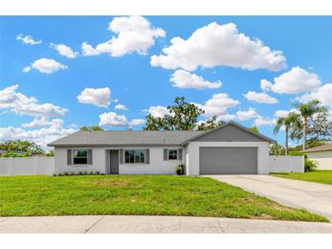 Charming single-story home with well-maintained lawn, fresh paint, and attached garage on a beautiful cloud filled day at 10811 Providence Oaks Dr, Riverview, FL 33578